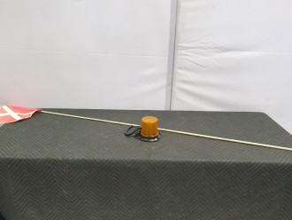 Lot 310