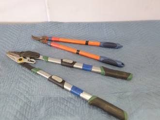 Lot 53